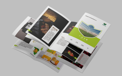 平面電腦圖文設(shè)計(jì) 數(shù)字時(shí)代視覺傳播的核心技藝